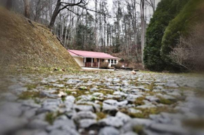 Shiner's Hollow Gatlinburg